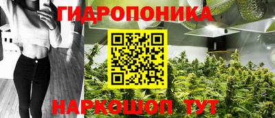 прущие крисы Гусиноозёрск