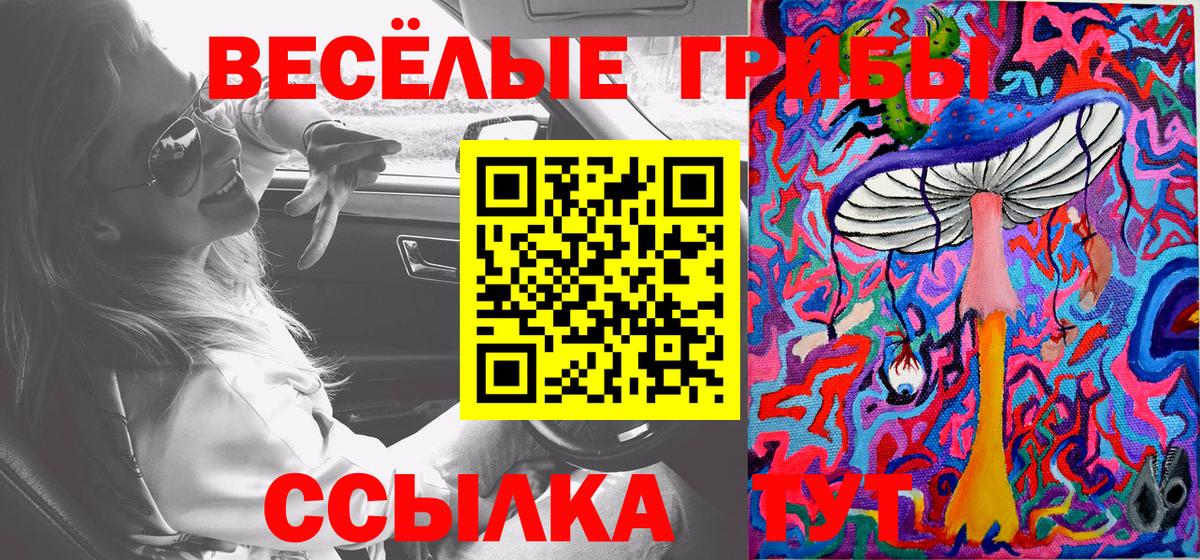 Курчалой  Псилоцибиновые грибы мицелий  Вход с VPN 